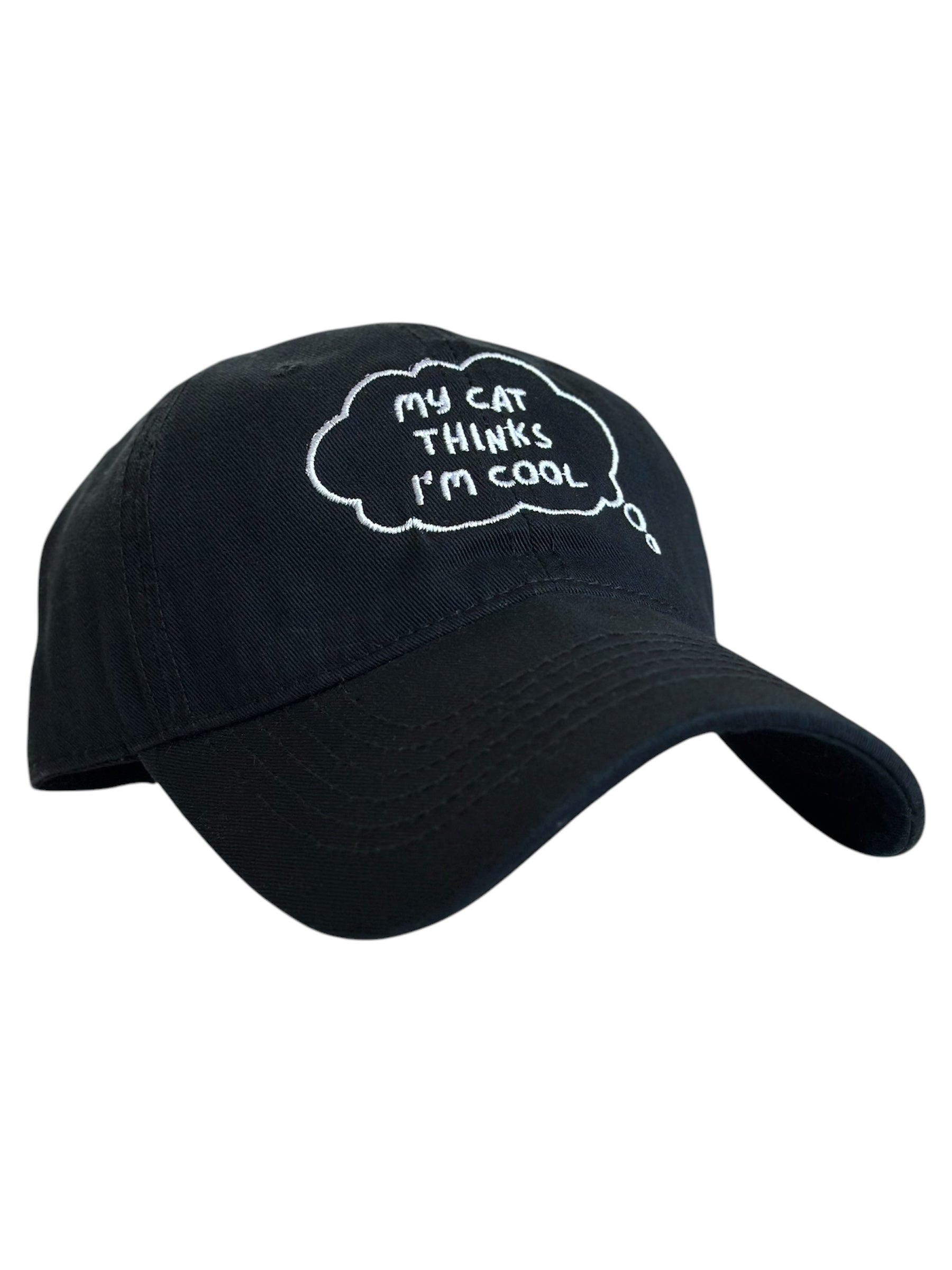 My Cat Thinks I'm Cool Hat image 0