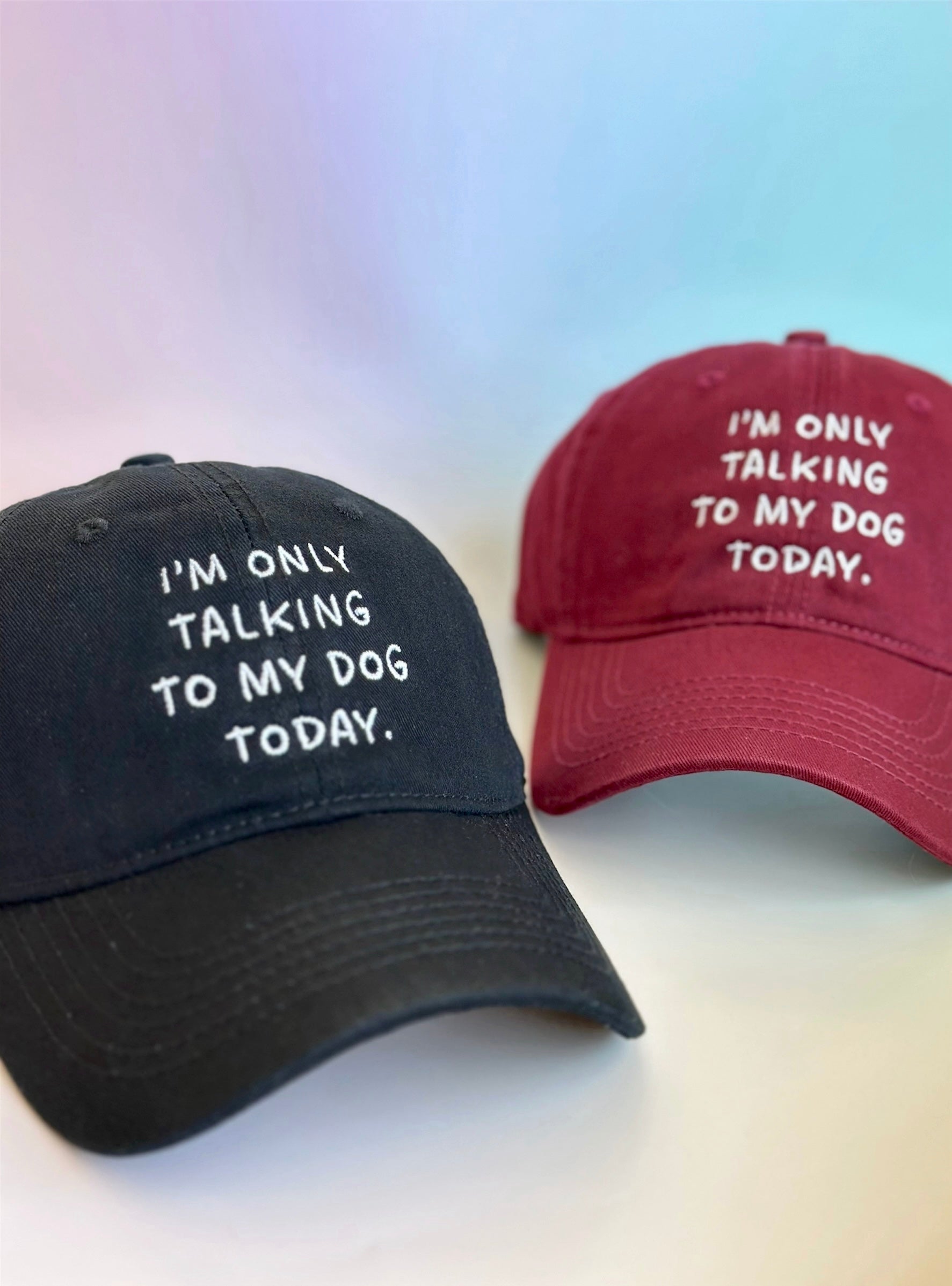 I'm Only Talking To My Dog Today Hat image 1