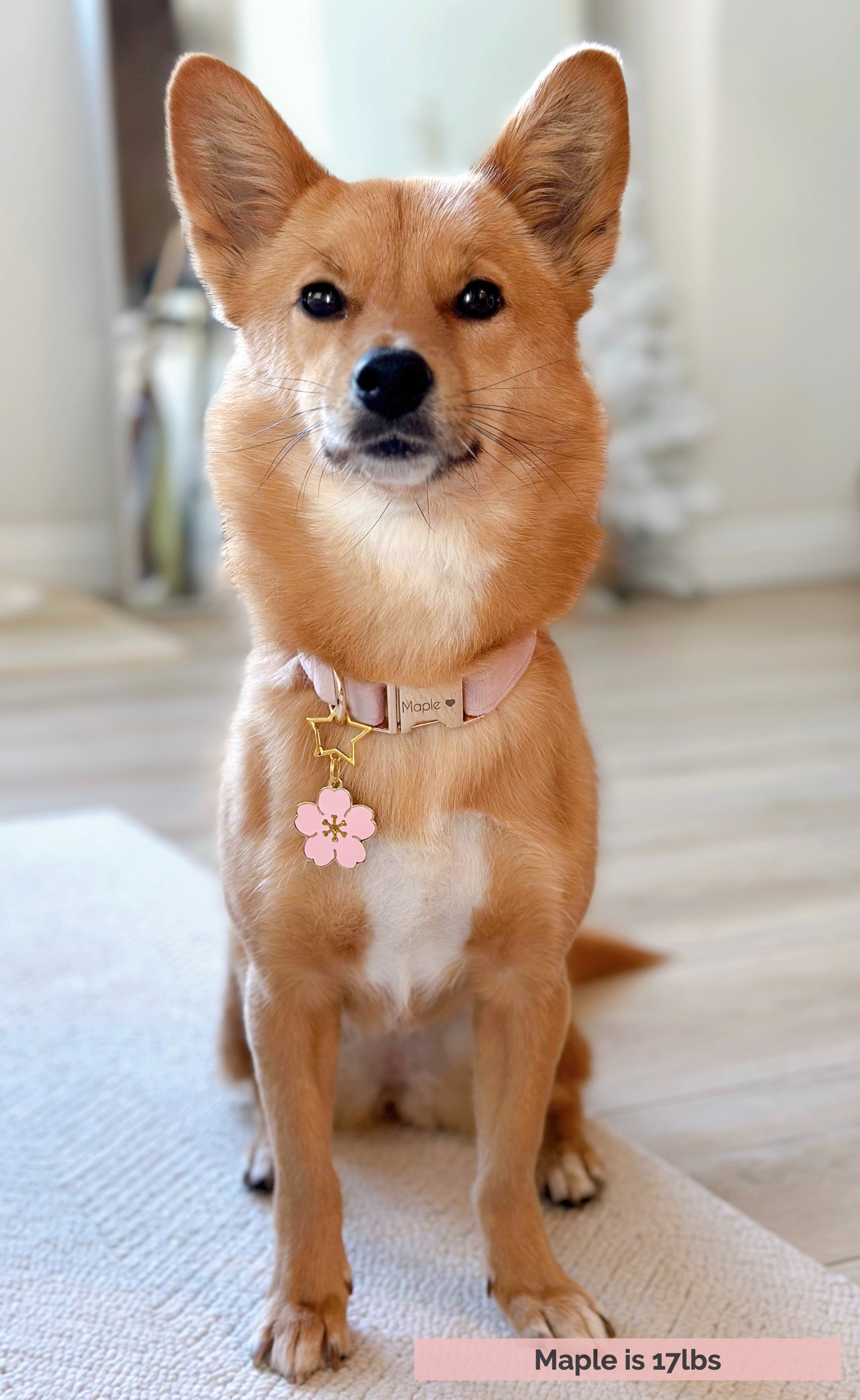 Cherry Blossom (Perfectly Imperfect) image 1