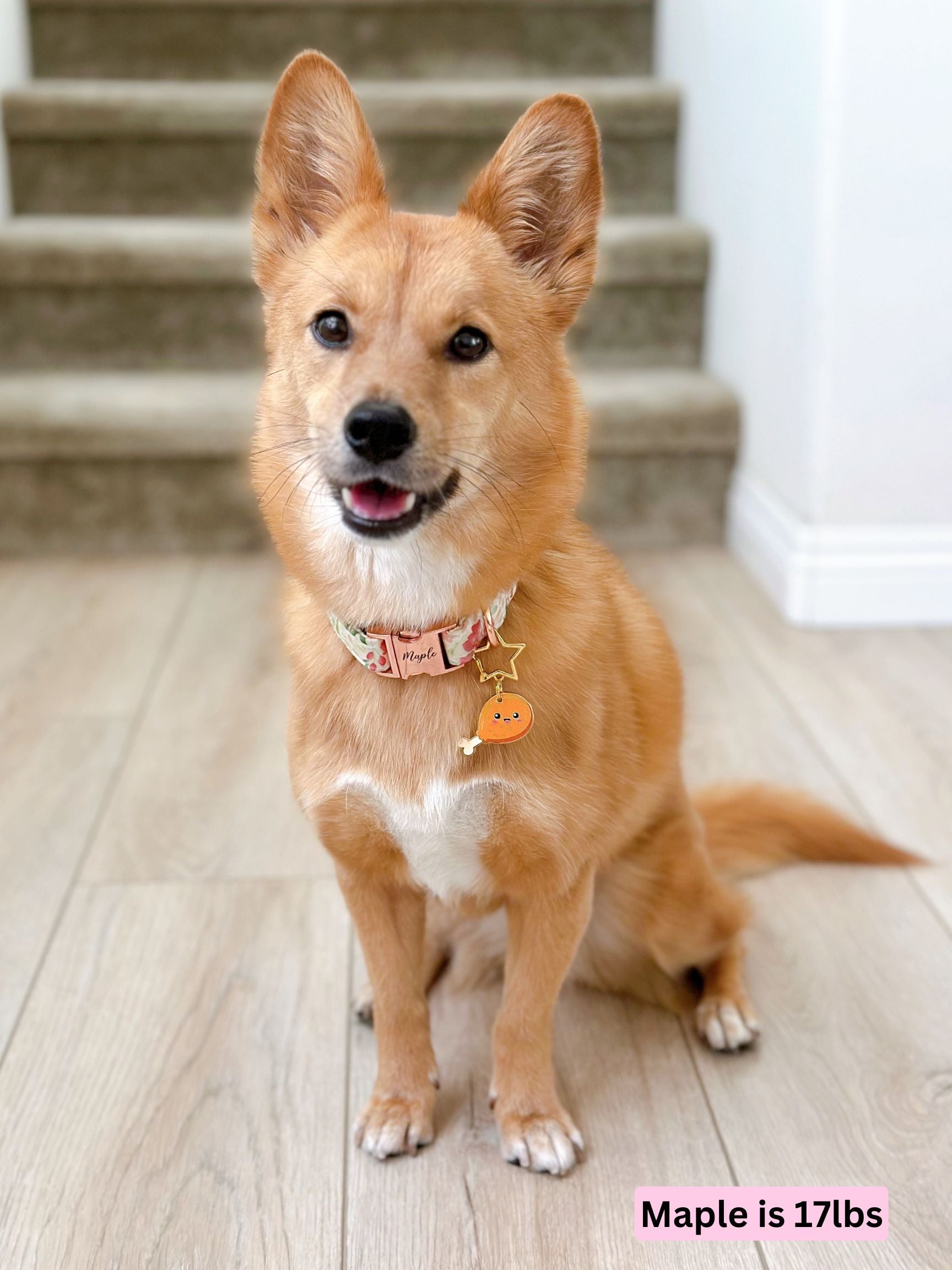 drumstick_maple.jpg