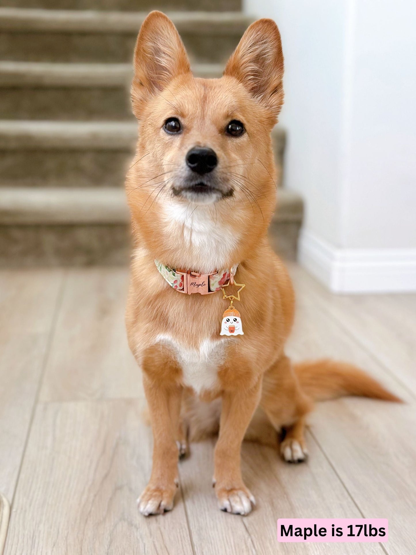 ghostie_maple.jpg
