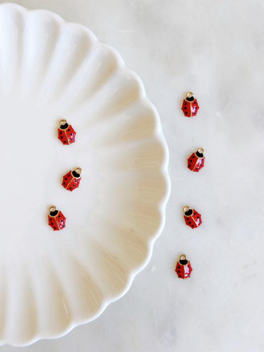 ladybugCharm.jpg