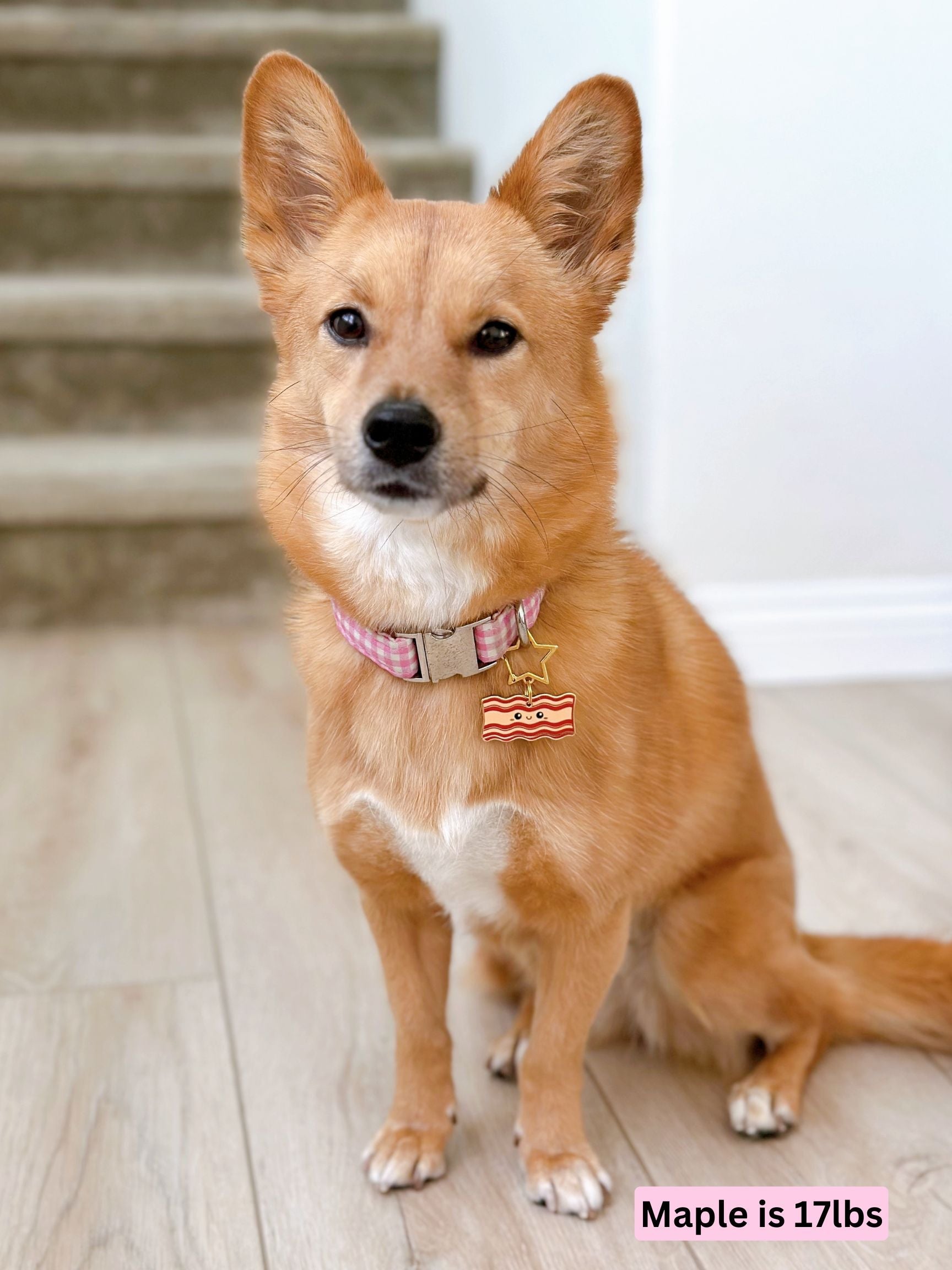 maple_bacon.jpg