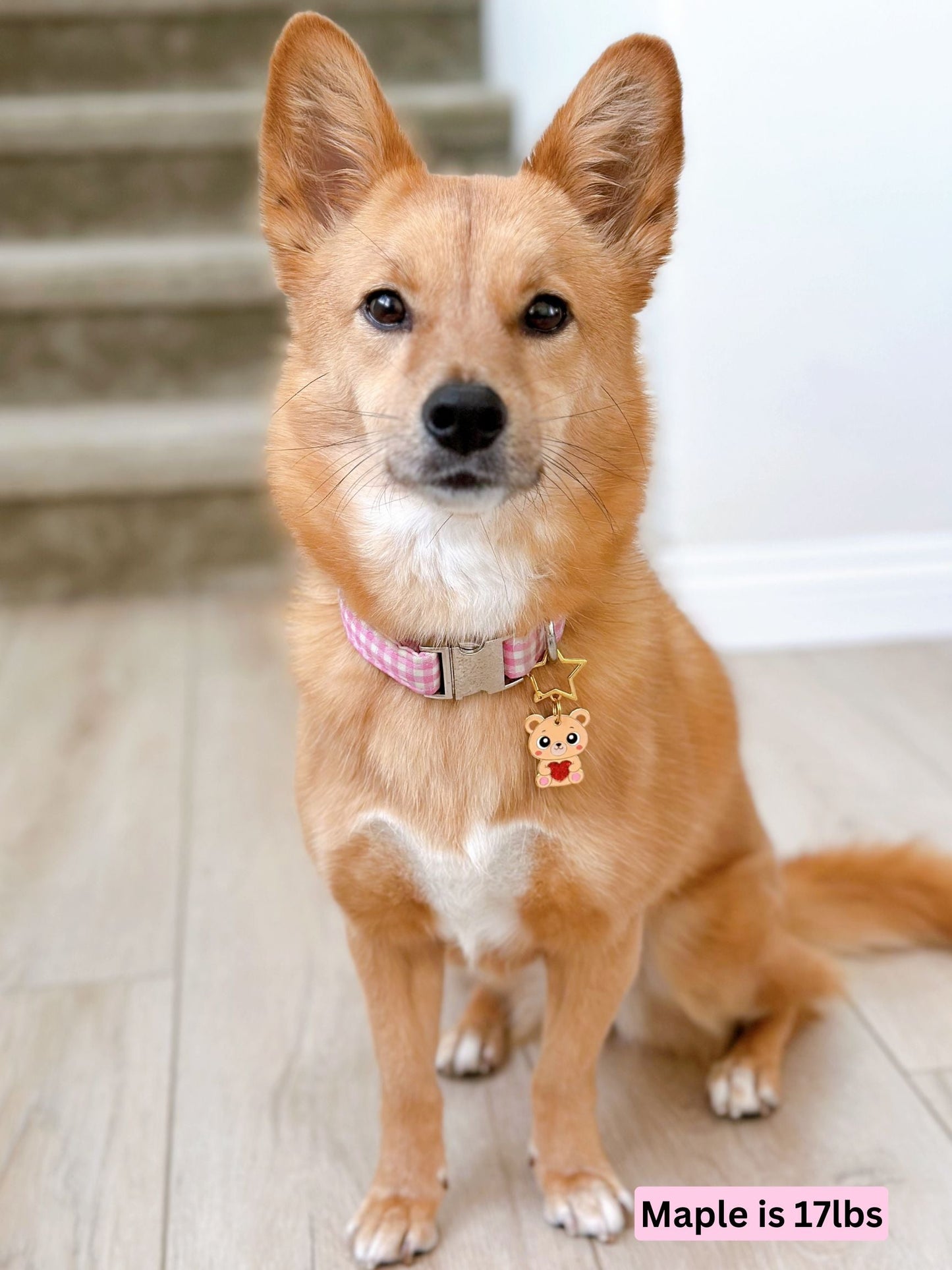 maple_teddy_bear.jpg