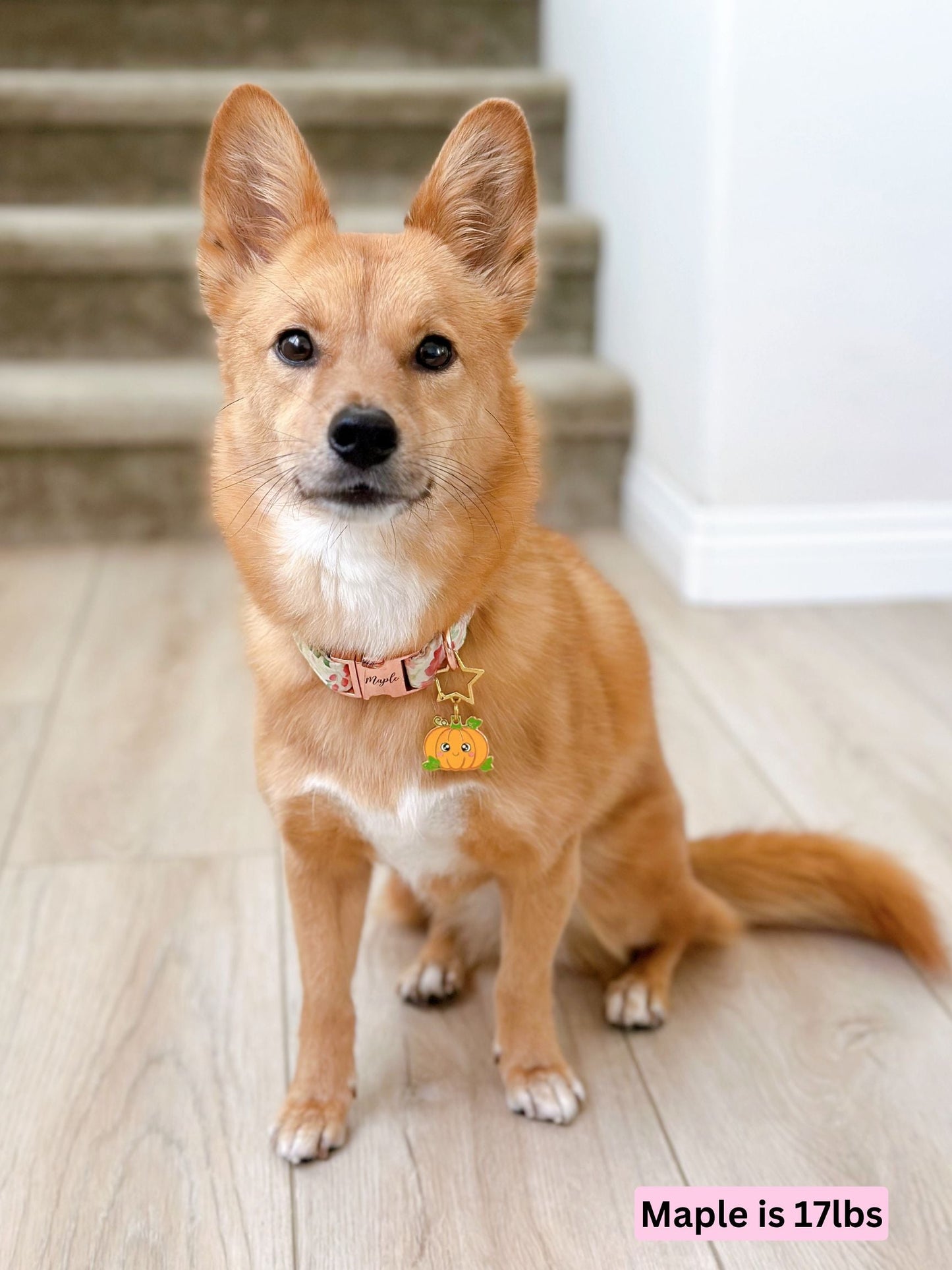 pumpkin_maple.jpg