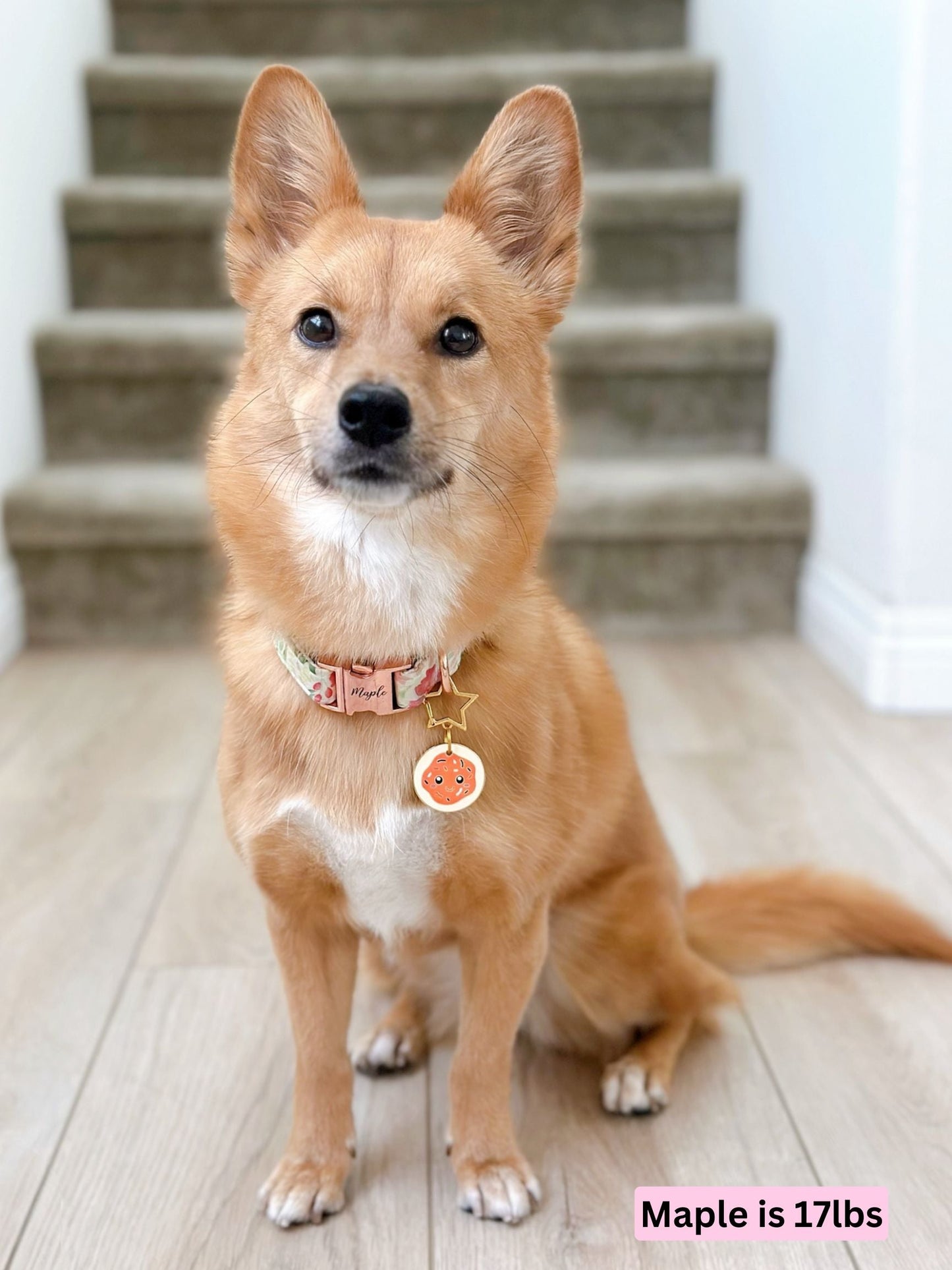 sugarCookie_maple.jpg