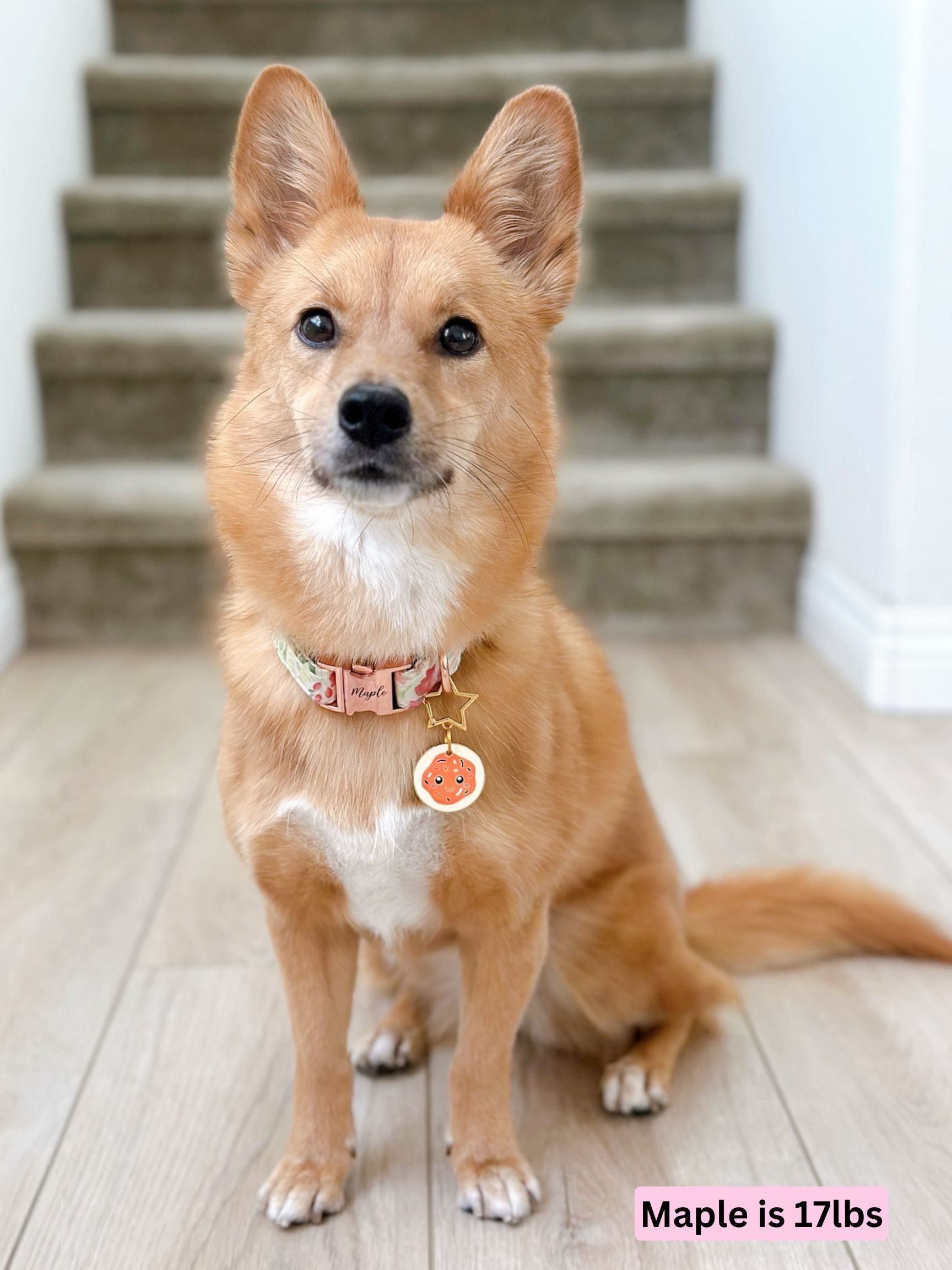 sugarCookie_maple.jpg