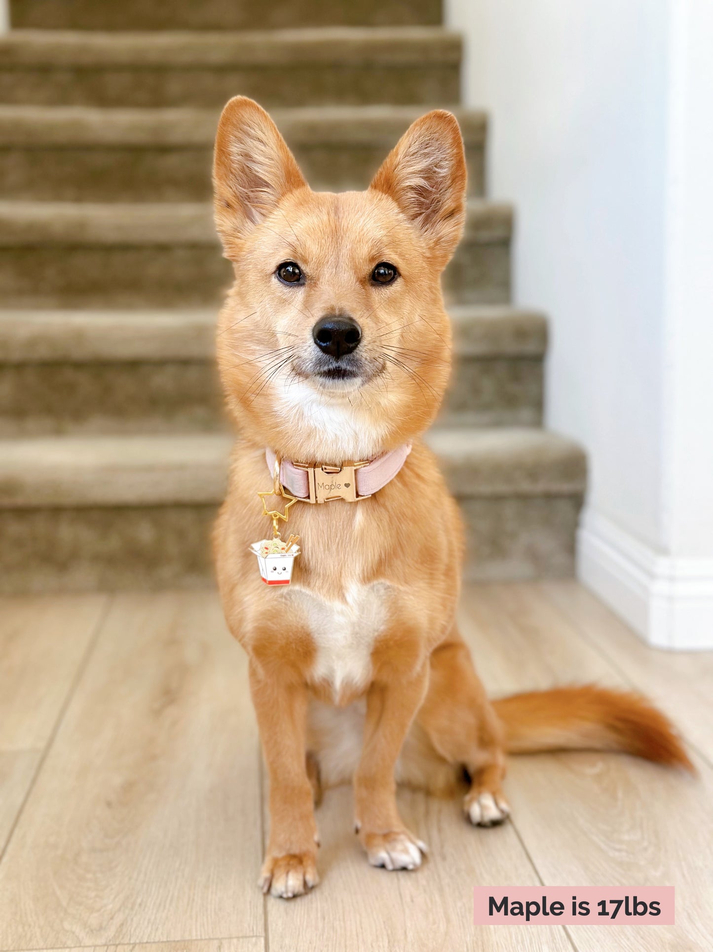 Chinese Takeout (Perfectly Imperfect) image 4