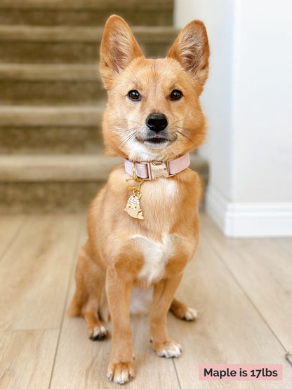 Taiyaki Ice Cream (Perfectly Imperfect) image 4