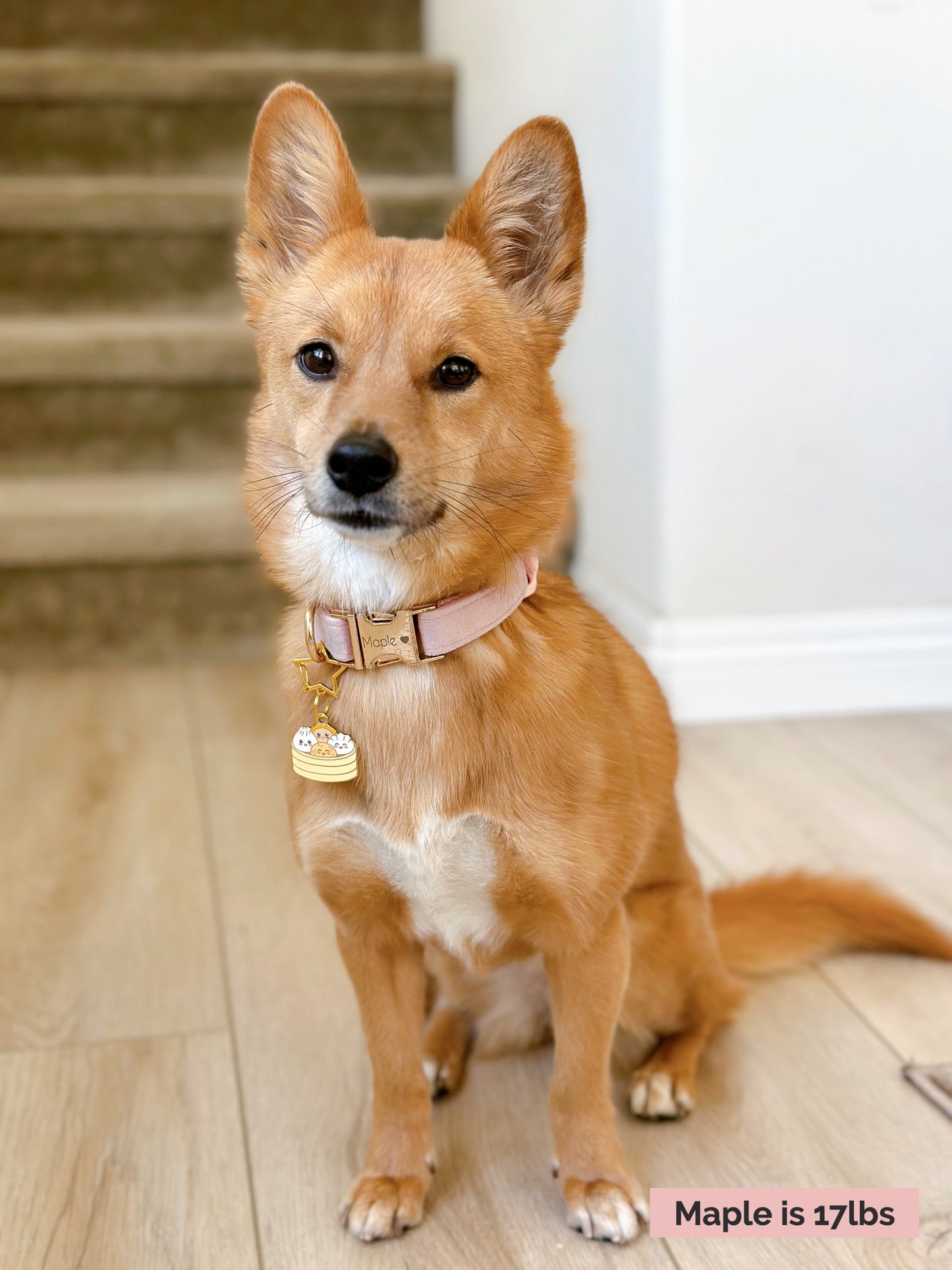 Dim Sum (Perfectly Imperfect) image 4