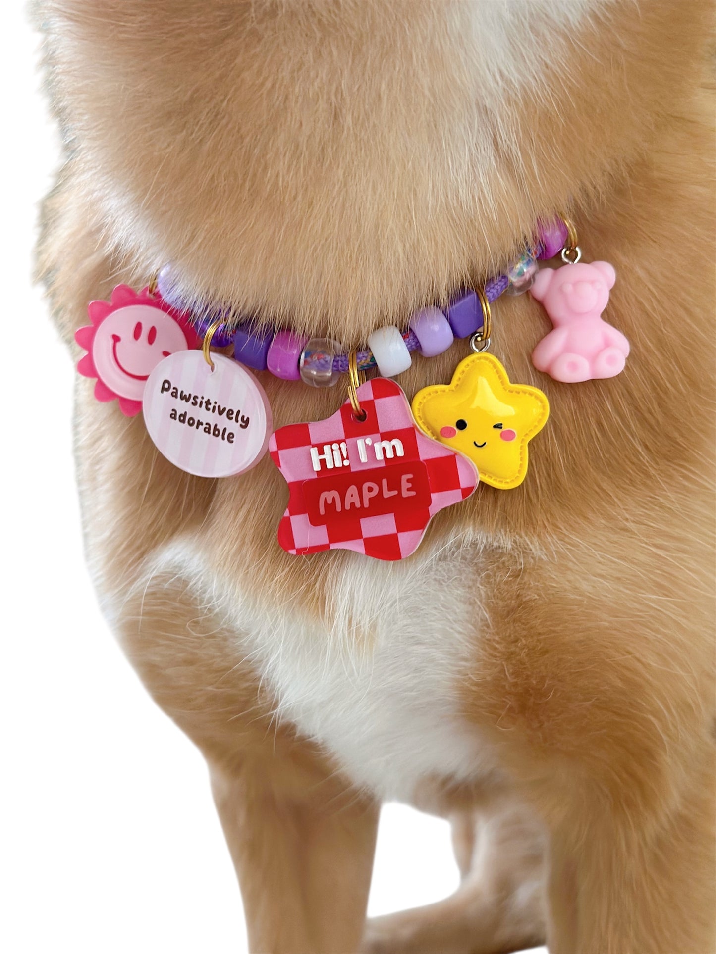 BUILD YOUR OWN Charm Necklace