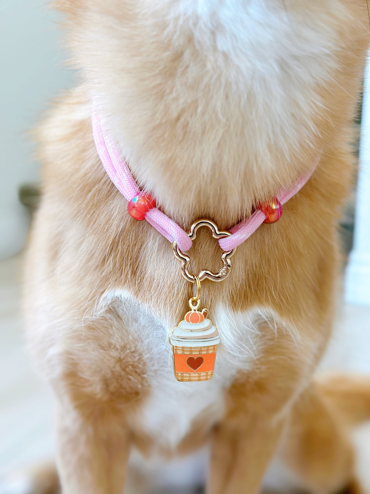 Clasp Necklace