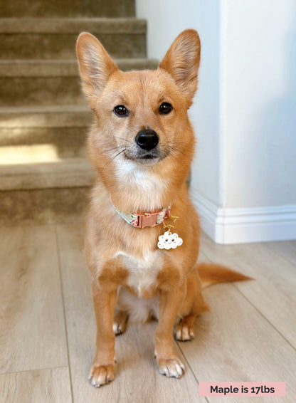 Cloud (Perfectly Imperfect) image 4