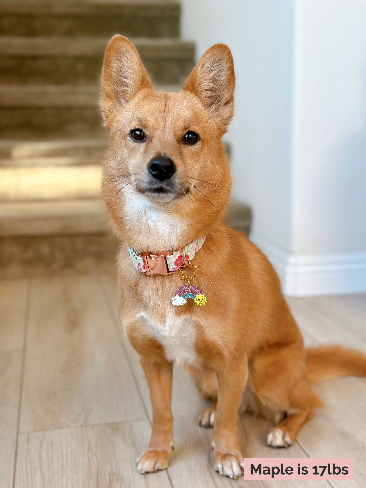 Rainbow (Perfectly Imperfect) image 4