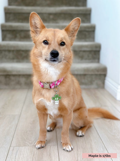 Monstera (Perfectly Imperfect) image 3