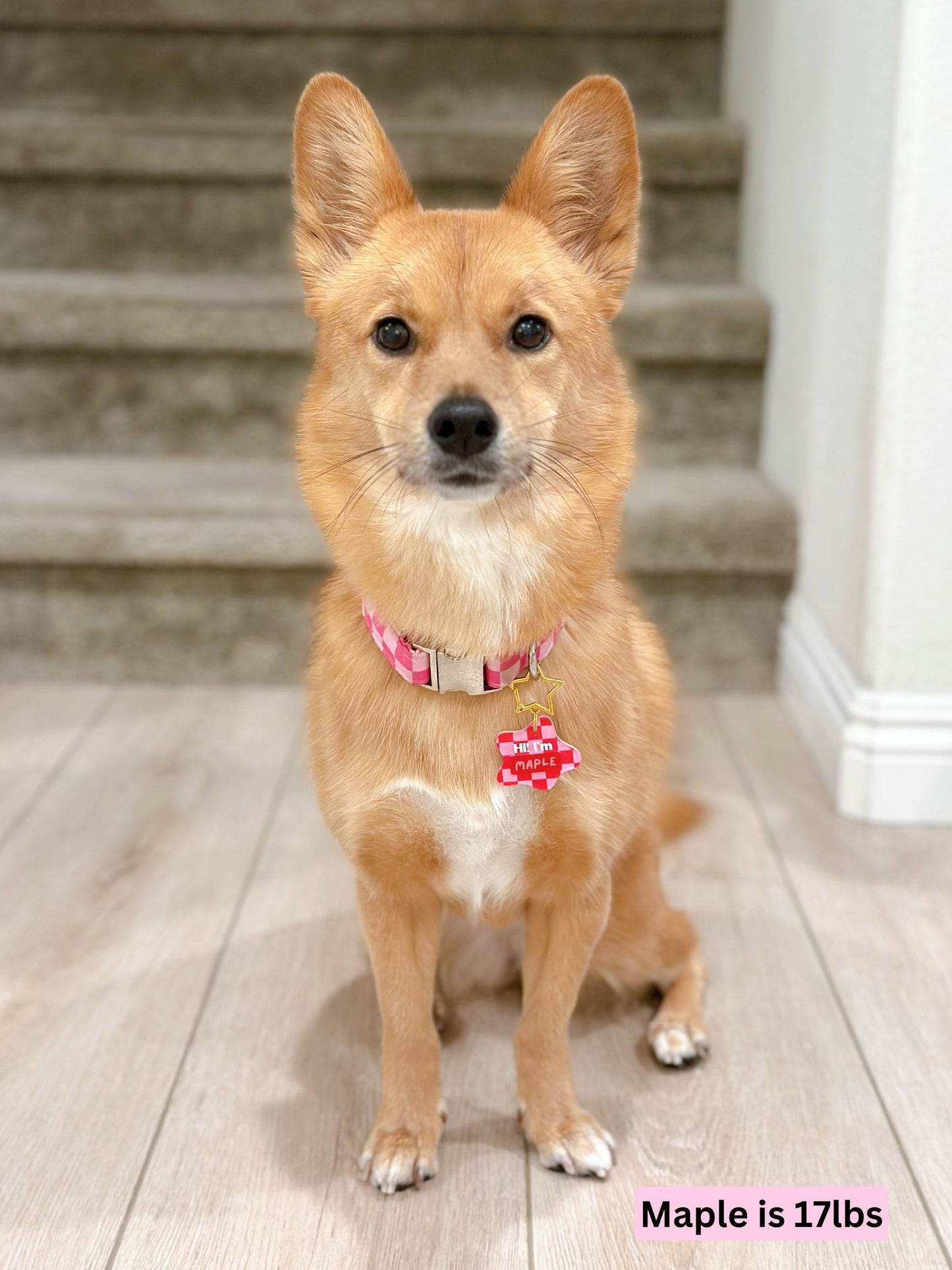 hiI'm_maple.jpg