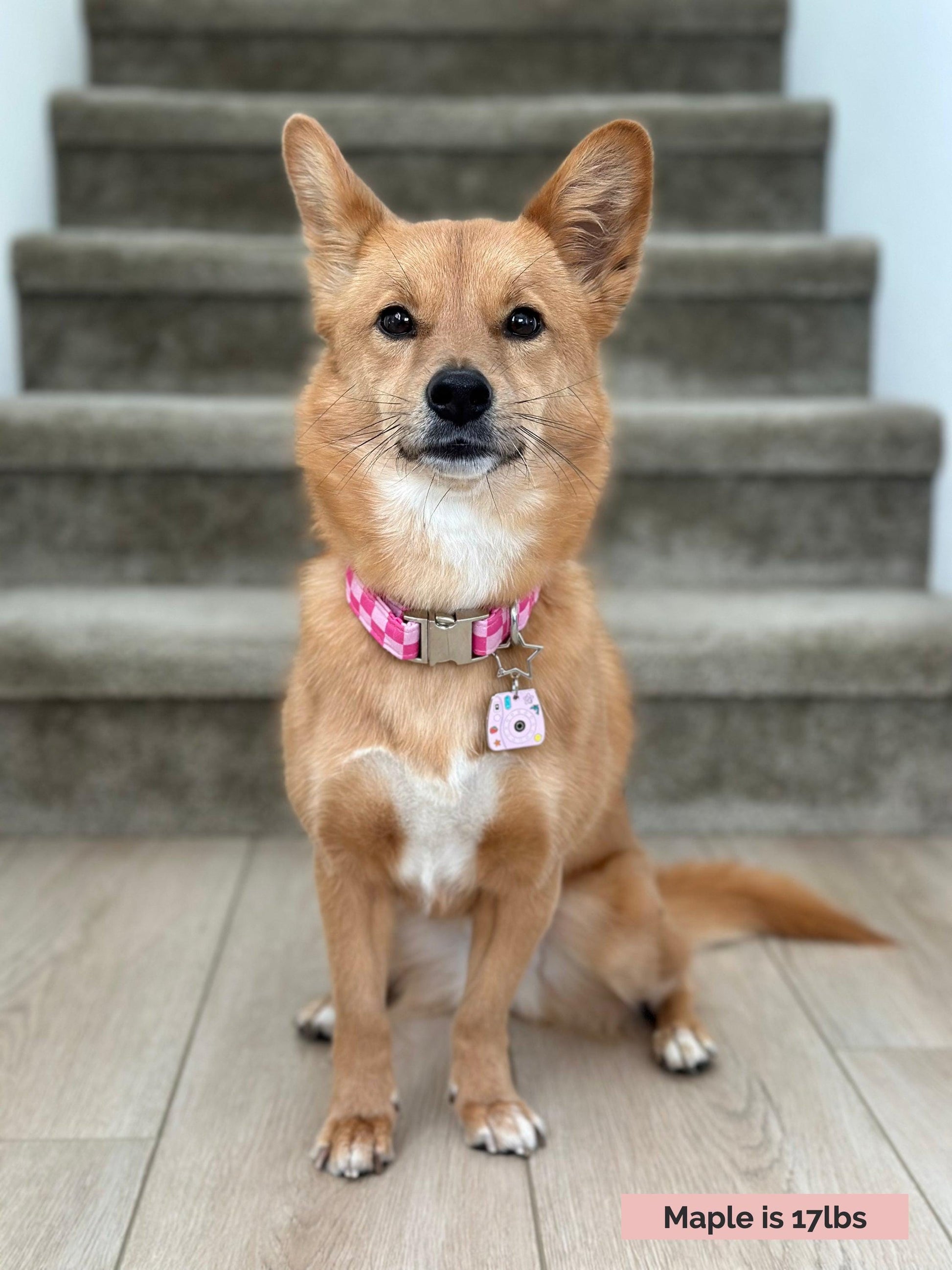 Polaroid Camera image 3