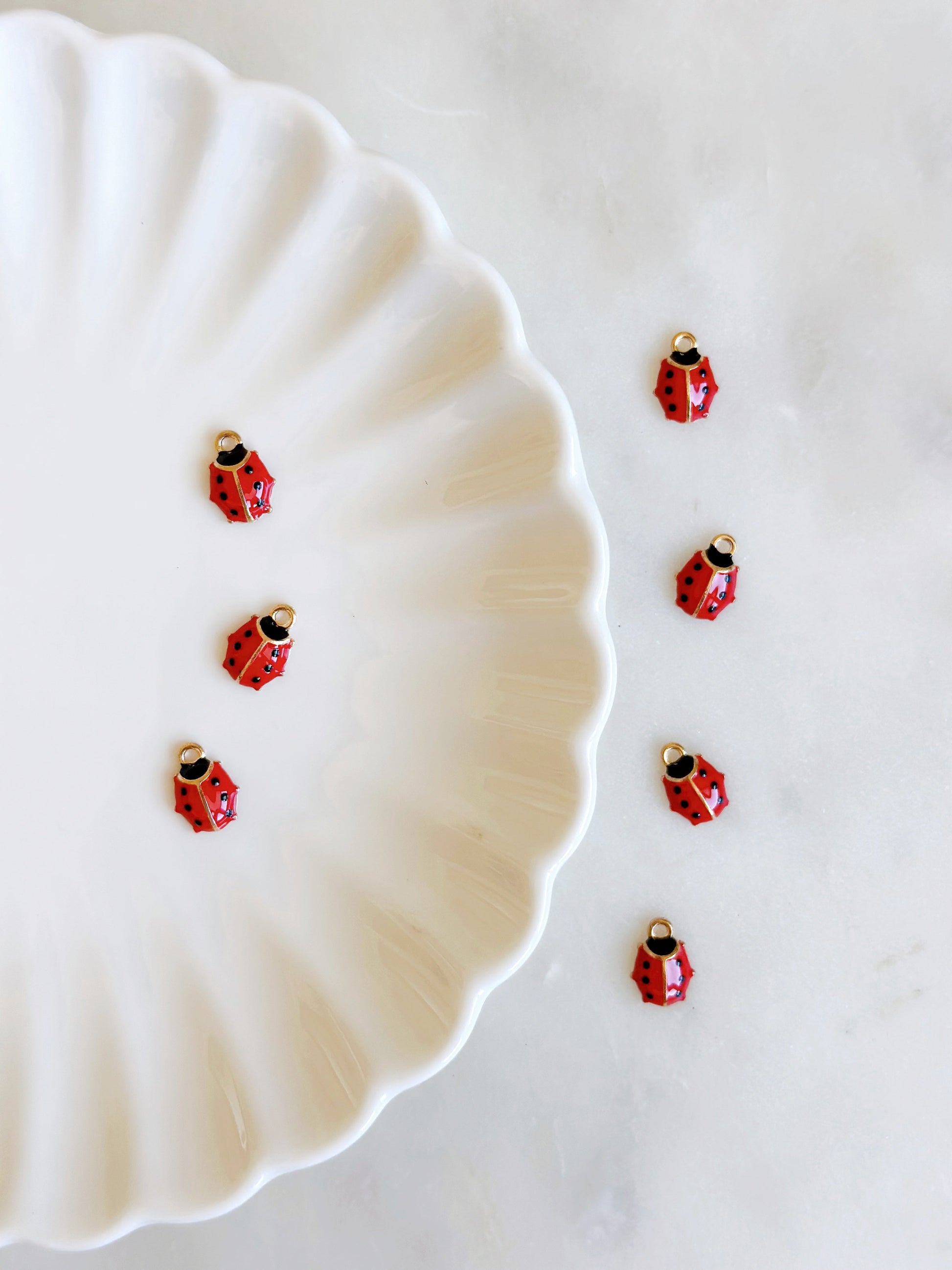 ladybugCharm.jpg