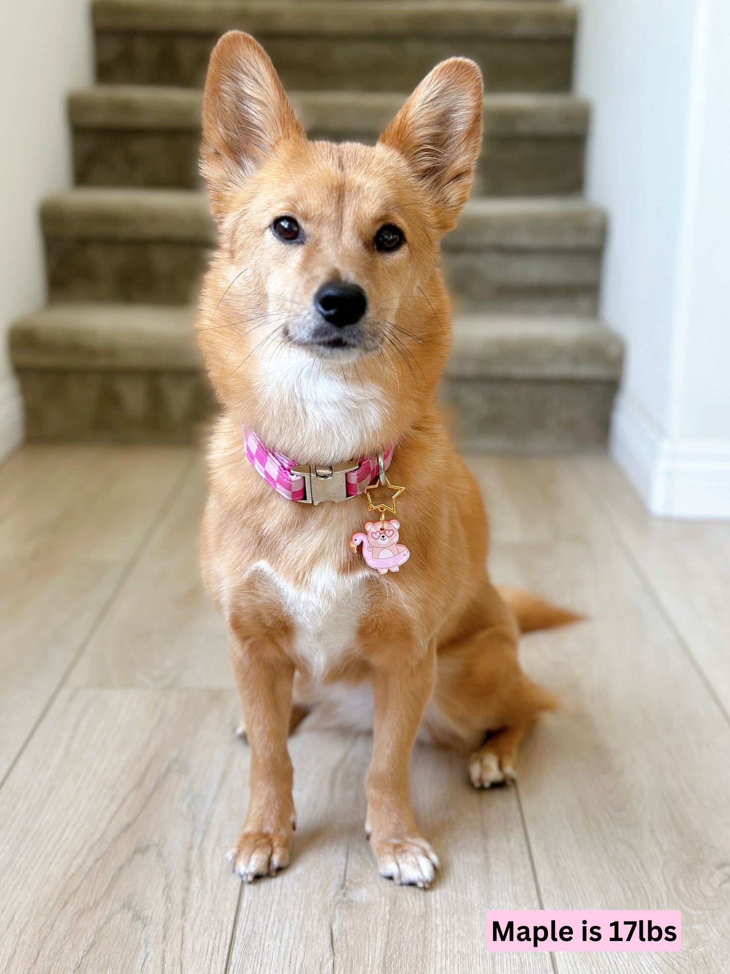 mapleSummerBear.jpg