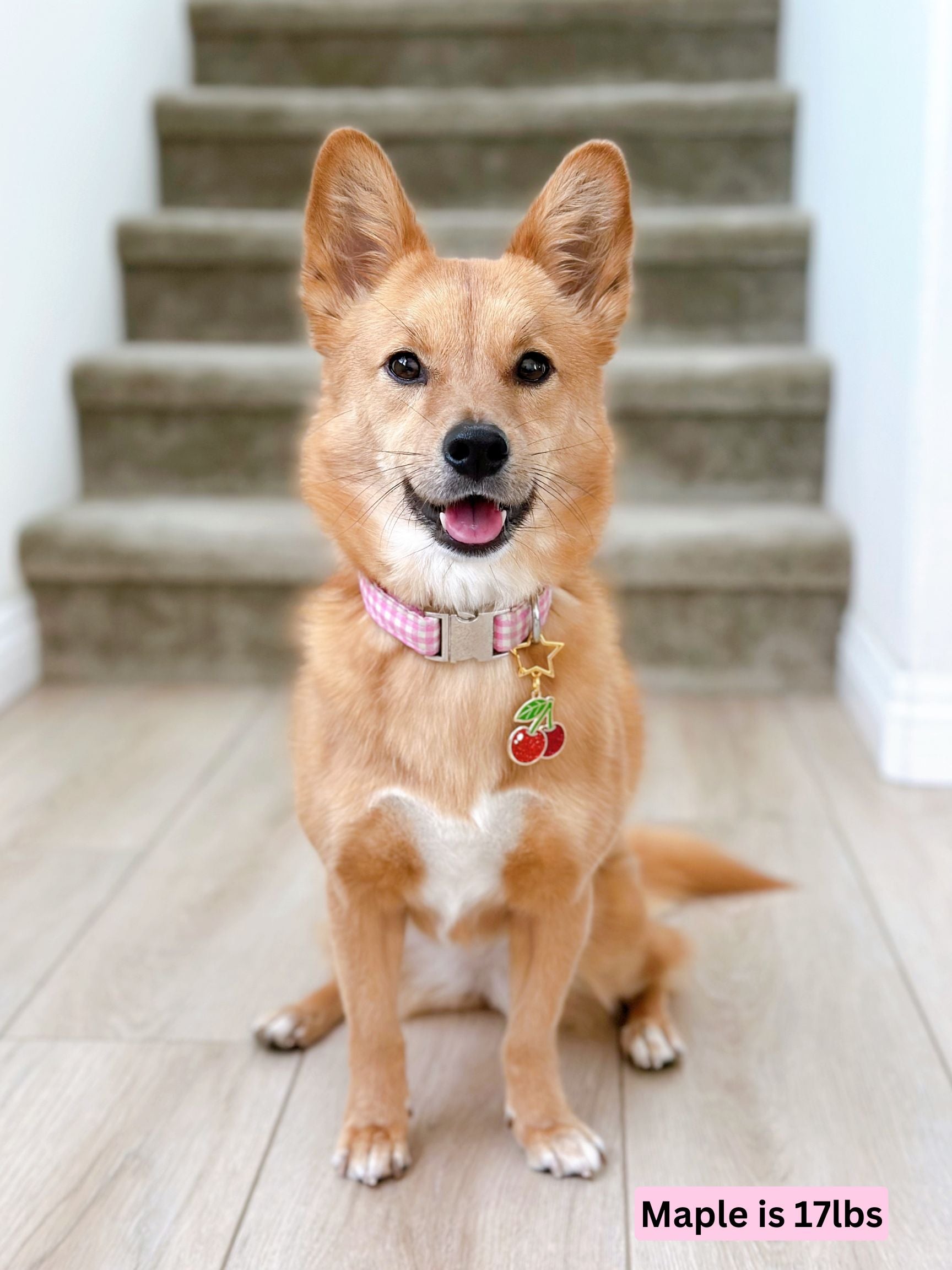 maple_cherry.jpg